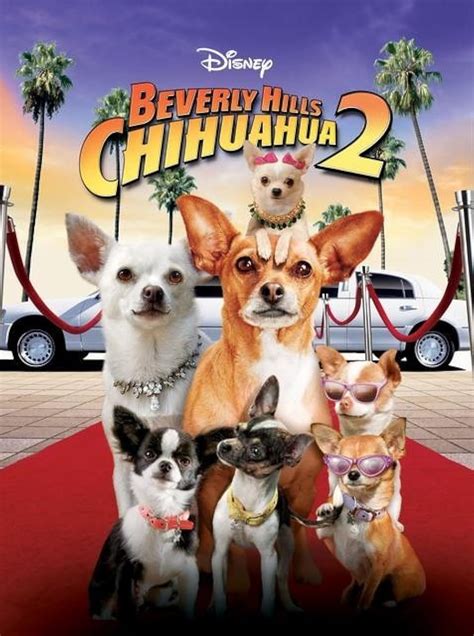 beverly hills chihuahua in order.